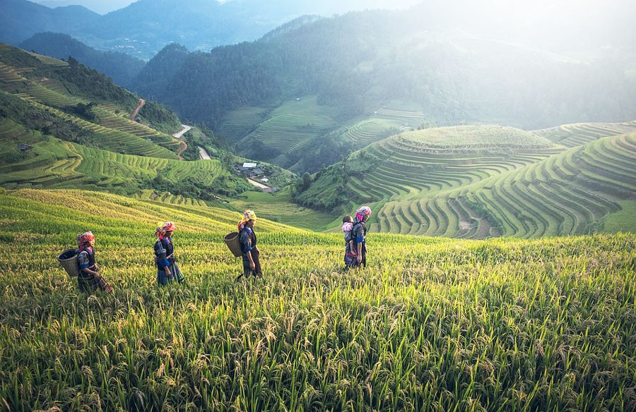 agriculture women in bali