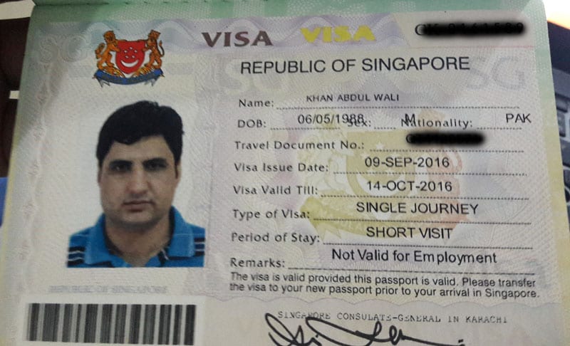 Нужна ли виза в сингапур 2024. Singapore visa.